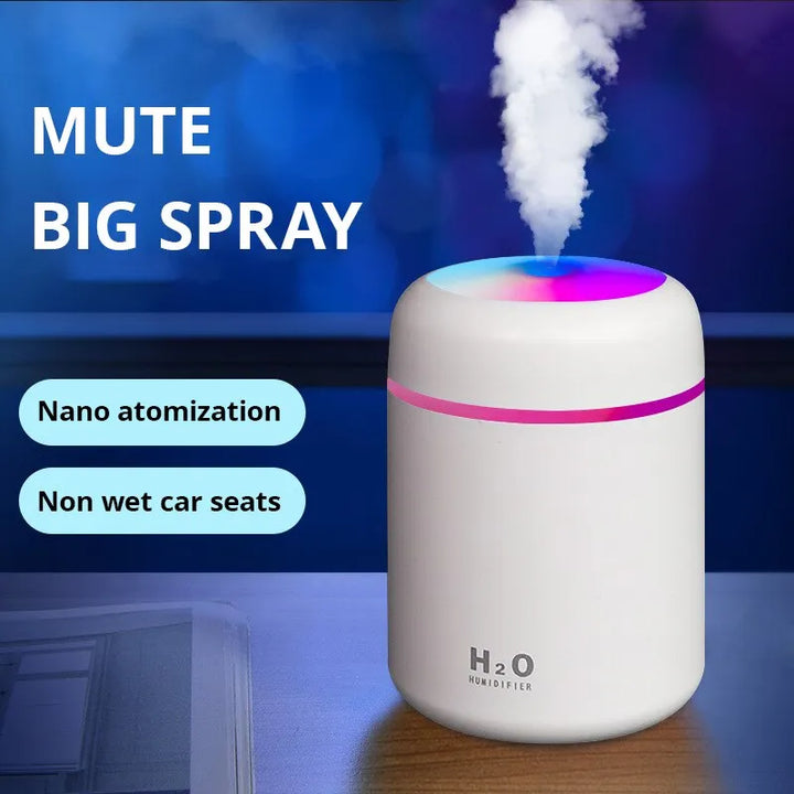USB Cool Mist Sprayer Portable 300ml